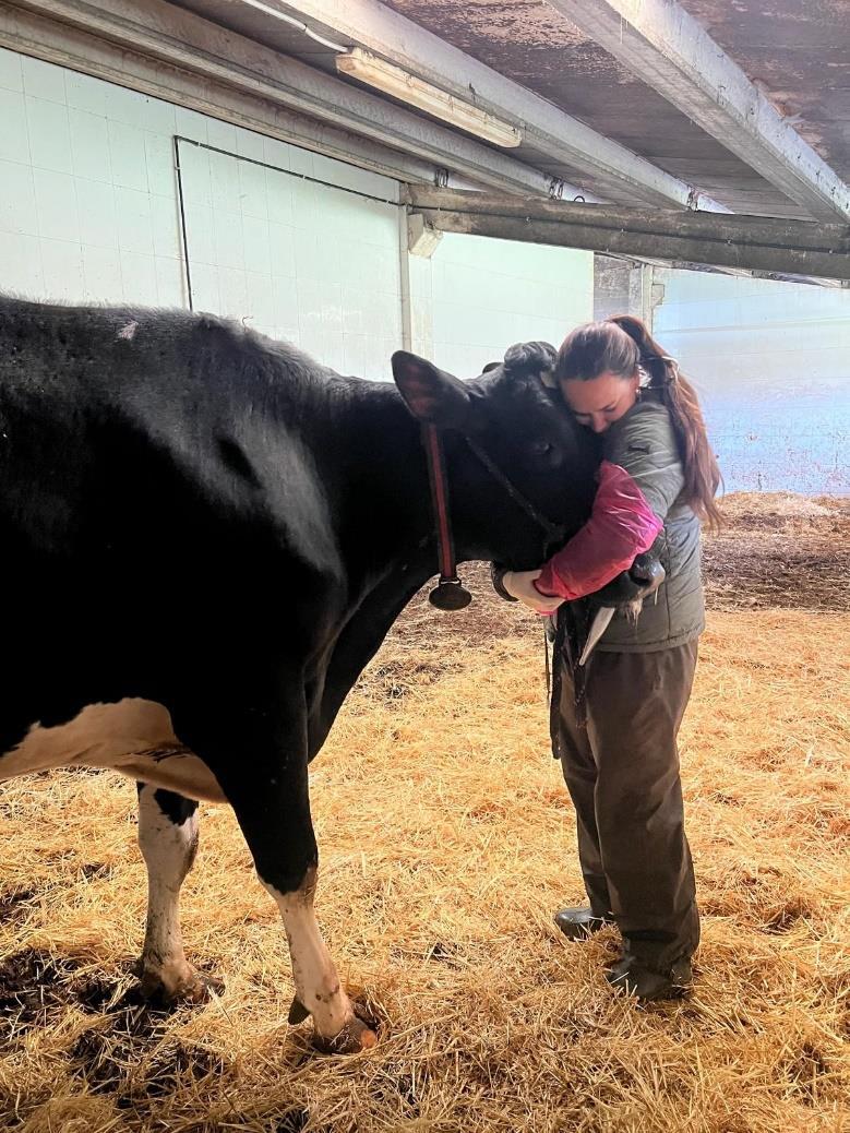 Examen ecográfico reproductivo como parte de la medicina preventiva bovina