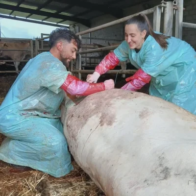 Auditoría veterinaria para el control de calidad higiénica en Cantabria