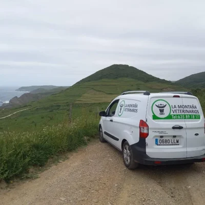 Equipo de veterinario 24 horas atendiendo una urgencia de vacuno en Cantabria